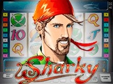 Sharky